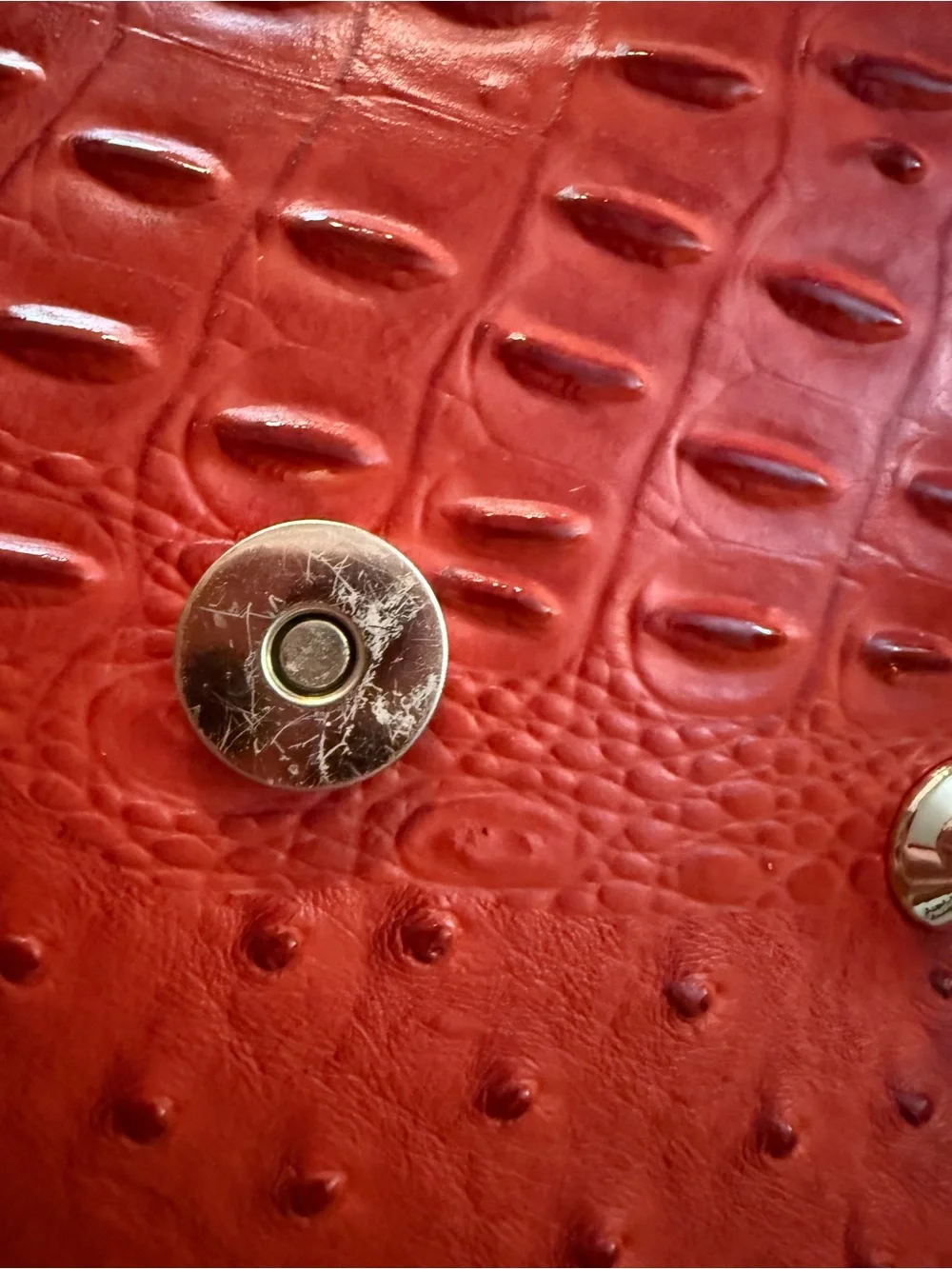 Le Miel Vegan Leather Crossbody |‎ Rust Orange Croc & Ostrich Embossed